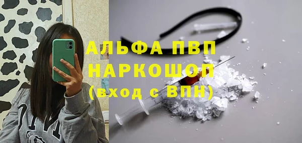молекула духа Каменногорск