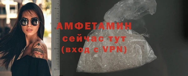 молекула духа Каменногорск