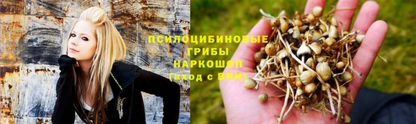 MESCALINE Каменка