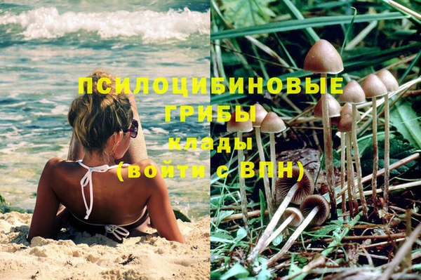 гашик Каменск-Шахтинский