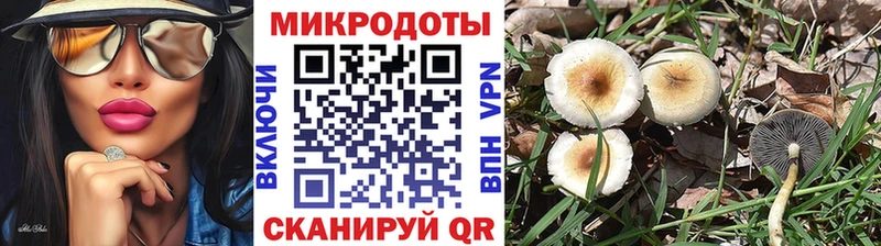Купить где Кореновск Псилоцибиновые грибы ЛСД